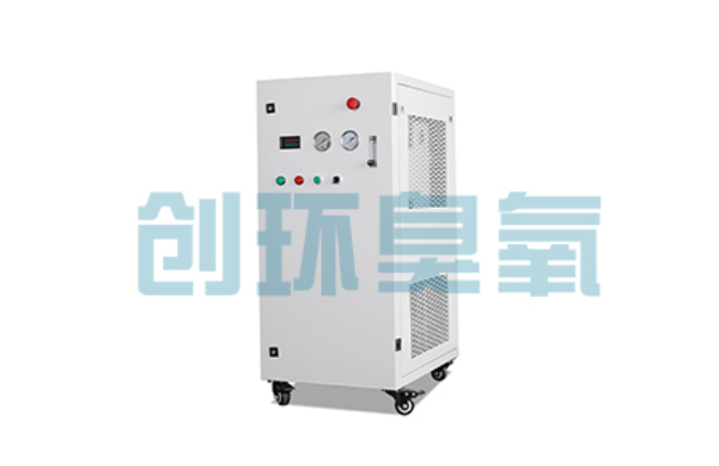 成都比传统换水更高效?臭氧发生器在石斑鱼养殖中的水质净化原理解析
